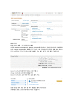 캡스톤 디자인 결과보고서(더 샴푸의 해외진출전략) -13