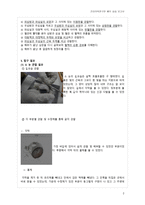 해부실습  - 소 눈과 돼지 심장의 내부 구조 및 기능의 이해 -2
