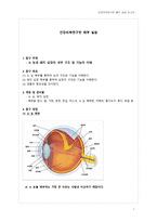 건강의학연구반해부실습 보고서 _소 눈과 돼지 심장의 내부 구조 및 기능의 이해 -1