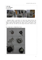 건강의학연구반해부실습 보고서 _소 눈과 돼지 심장의 내부 구조 및 기능의 이해 -3
