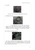 건강의학연구반해부실습 보고서 _소 눈과 돼지 심장의 내부 구조 및 기능의 이해 -6