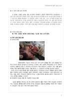 건강의학연구반해부실습 보고서 _소 눈과 돼지 심장의 내부 구조 및 기능의 이해 -7