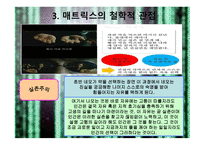 매트릭스의 개요, 매트릭스의 등장인물, 역할분석, 매트릭스의 종교적 관점 -18