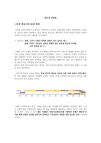 종교적 공연들 -1