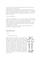 종교적 공연들 -4