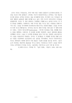 레포트 - 문화의 의미 -2
