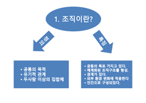 조직과 비서 - 태평양 법률 사무소 기업탐방 -3