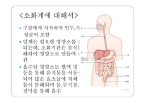 몸속의 모든 기관 - 소화계 -3