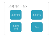몸속의 모든 기관 - 소화계 -4
