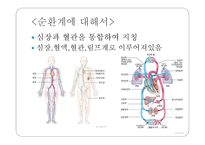 몸속의 모든 기관 - 소화계 -5