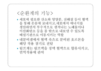몸속의 모든 기관 - 소화계 -6