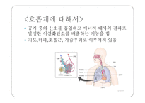 몸속의 모든 기관 - 소화계 -7