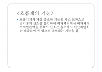 몸속의 모든 기관 - 소화계 -8