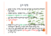 신화와 문학(화) 콘텐츠 - 원형,신화, 콘텐츠 -17