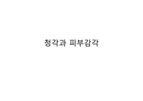 청각과 피부감각 -귀의구조와기능 -1