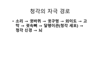 청각과 피부감각 -귀의구조와기능 -7