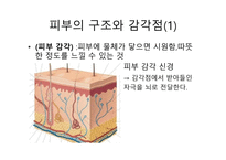 청각과 피부감각 -귀의구조와기능 -8