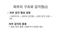 청각과 피부감각 -귀의구조와기능 -9