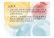 몸속의 모든 기관 -소화계 -3