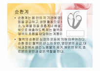 몸속의 모든 기관 -소화계 -5