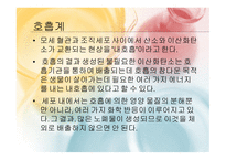 몸속의 모든 기관 -소화계 -7