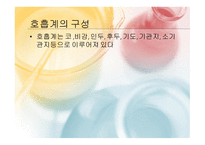 몸속의 모든 기관 -소화계 -8