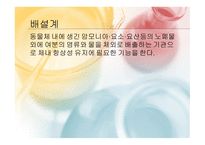 몸속의 모든 기관 -소화계 -9