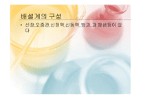 몸속의 모든 기관 -소화계 -10
