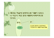 토론 - 복녀는유죄인가, 작가소개와 작품해설 -12