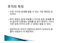 후각과 미각 - 후각의 성립과정