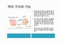 후각과 미각 - 후각의 성립과정