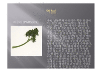 향신료의 정의와 분류 -4