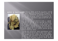 향신료의 정의와 분류 -7