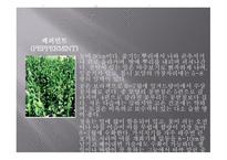 향신료의 정의와 분류 -10