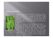 향신료의 정의와 분류 -11