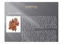 향신료의 정의와 분류 -13