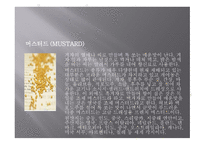 향신료의 정의와 분류 -14