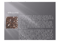 향신료의 정의와 분류 -15