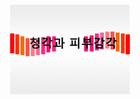 청각과 피부감각 - 귀의구조와기능 -1