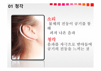 청각과 피부감각 - 귀의구조와기능 -3