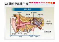 청각과 피부감각 - 귀의구조와기능 -4