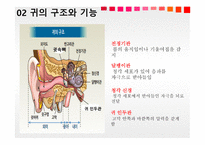 청각과 피부감각 - 귀의구조와기능 -6