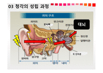청각과 피부감각 - 귀의구조와기능 -7