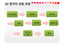 청각과 피부감각 - 귀의구조와기능 -8