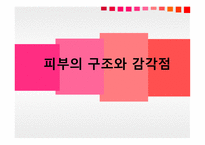 청각과 피부감각 - 귀의구조와기능 -11