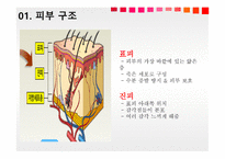 청각과 피부감각 - 귀의구조와기능 -12
