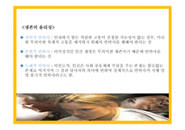 밀리언 달러 베이비 - 줄거리, 인물분석   -13