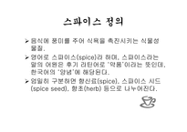 스파이스 - 향신료 정의 -3