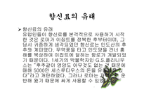 스파이스 - 향신료 정의 -4