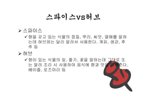 스파이스 - 향신료 정의 -5